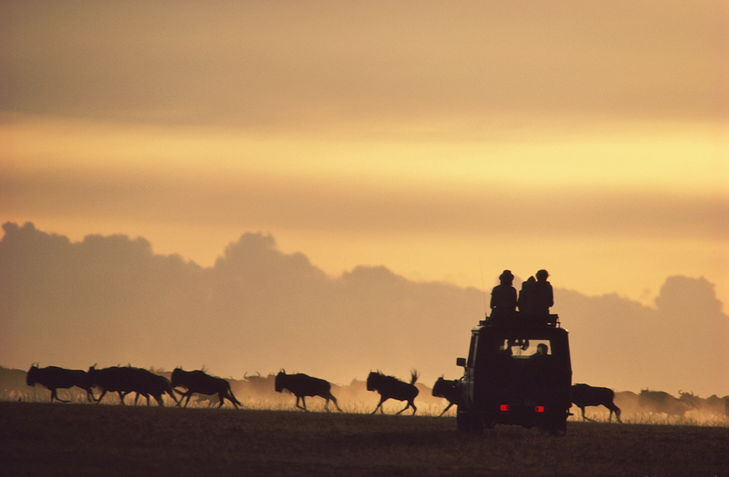 East Africa Safari Destinations
