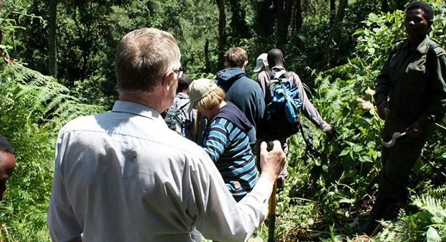 Guided Walk in Rwanda