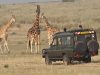 Safari through Uganda, the Pearl of Africa Uganda Tour