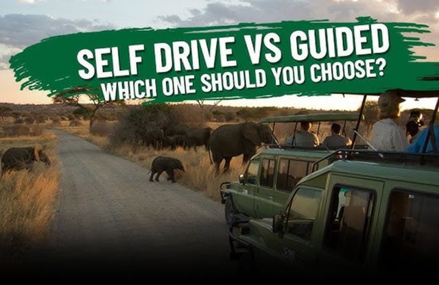 Guided Vs Self Drive